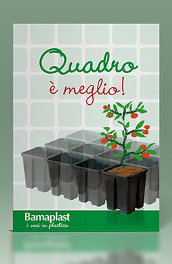 Brochure Vaso Quadro