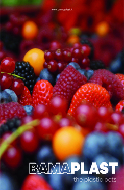 GROWING POTS FOR BERRIES