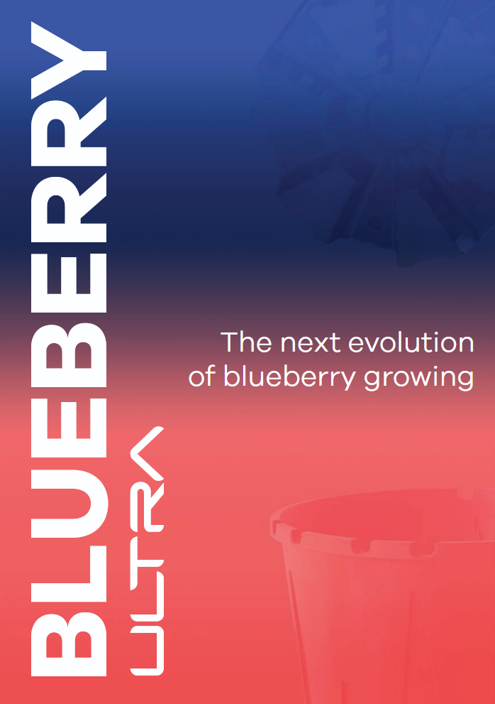 Blueberry ULTRA