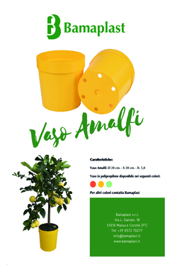 Vaso AMALFI