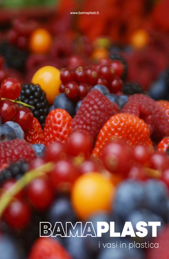 Vasi FRUTTI DI BOSCO