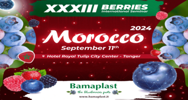 Bamaplast partecipa con piacere al seminario di Blueberries Consulting Magazine a Tangeri